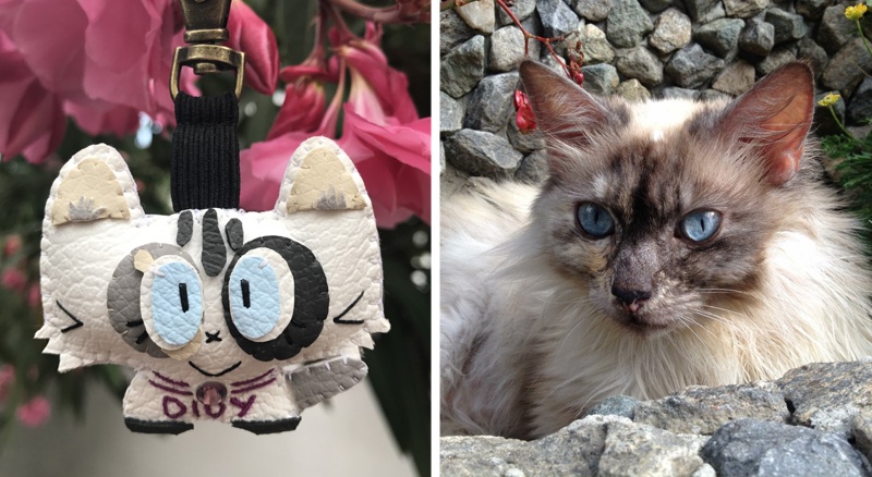 Cuchituras | Llaveros Personalizados de Gatos | Birmano | Didy