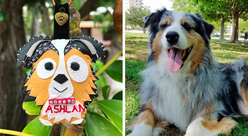 Cuchituras | Llaveros Personalizados de Perros | Border Collie | Ashlan