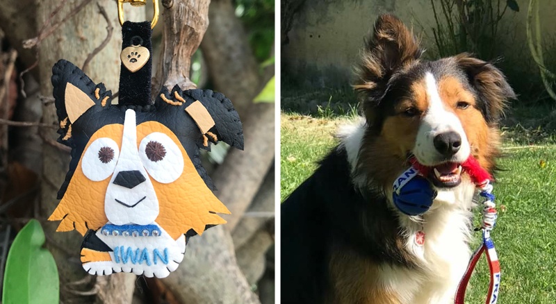 Cuchituras | Llaveros Personalizados de Perros | Border Collie | Iwan