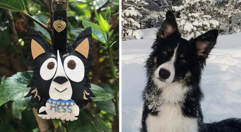 Cuchituras | Llaveros Personalizados de Perros | Border Collie | Mess