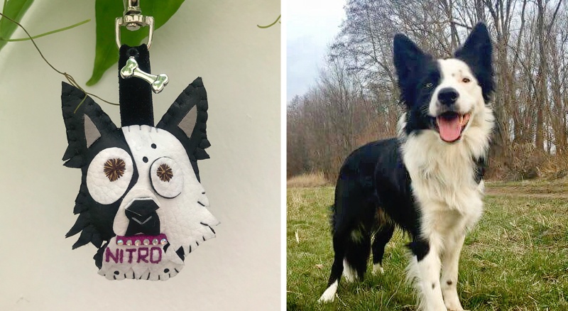 Cuchituras | Llaveros Personalizados de Perros | Border Collie | Nitro