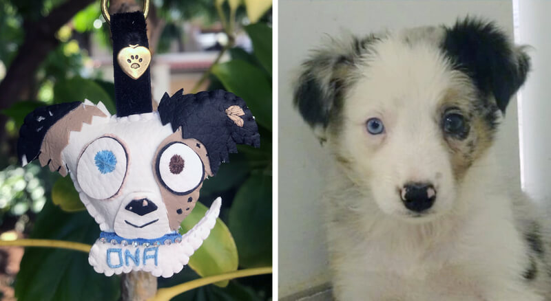 Cuchituras | Llaveros Personalizados de Perros | Border Collie | Ona