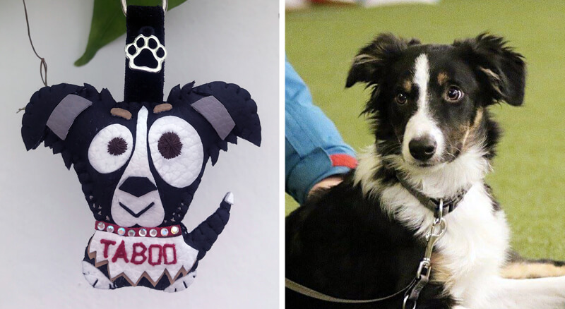 Cuchituras | Llaveros Personalizados de Perros | Border Collie | Taboo