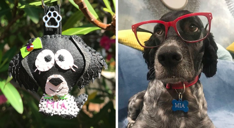 Cuchituras | Llaveros Personalizados de Perros | Bretón | Mia