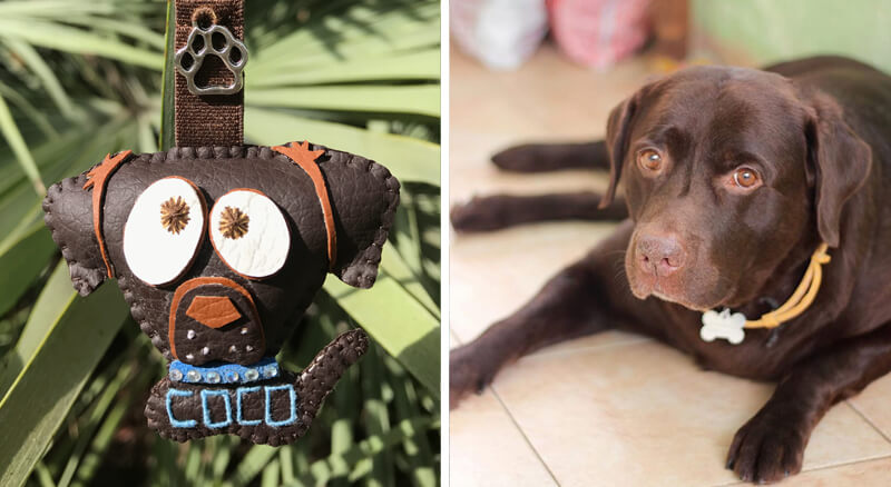 Cuchituras | Llaveros Personalizados de Perros | Labrador | Coco