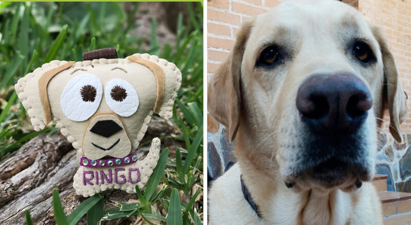 Cuchituras | Llaveros Personalizados de Perros | Labrador | Ringo