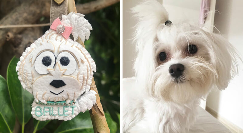 Cuchituras | Llaveros Personalizados de Perros | Maltés | Ballet